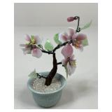 Jade Tree In Planter