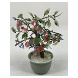 Jade Bonsai Tree