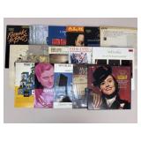 Vinyl Record Assortment|16 pc