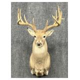 Deer Mount