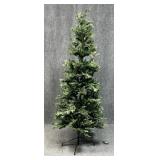 Lighted Christmas Tree