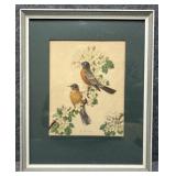 Vintage 'Robin and Apple Blossoms' Print