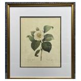 Botanical Decor Print