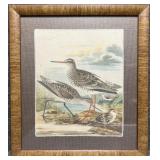 "Sandpipers II" Print on Fabric