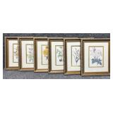 6/PC Botanical Prints