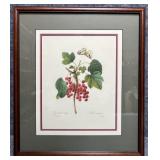 Botanical Print