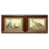 2/PC Audubon Reproduction Prints