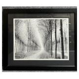 'Tree Parade' B&W Print by Chip Forelli