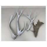 Antlers / 4 pc
