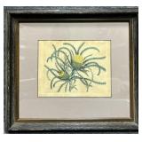 Hand colored Botanical Etching "Banksia Porlata"