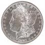 1881-s Morgan Silver Dollar (BU?)