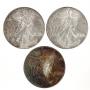Silver Eagle Bullion Coins (3)