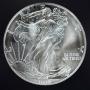 1994 BU Silver Eagle (rare)