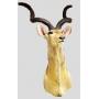 Greater Kudu Antelope