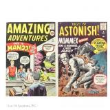 Amazing Adventures #2 and More MARVEL (2)