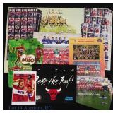 Soccer Cards, Posters, Autographs + Bulls