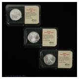 2006 American Silver Eagle $1 Bullion Coins, 3