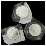 1989, 1990 & 1991 American 99.9% Silver Eagles, 3