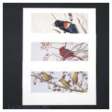 Brian Wignall Wildlife Art (3)