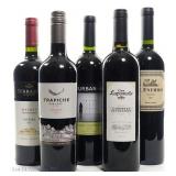 Argentina Malbec & Chile Cabernet Variety Lot (5)
