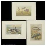 Three Vintage Chromolithographs