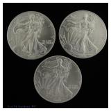 2002 (W) American Silver Eagle $1 Bullion (BU), 3