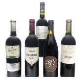 Spanish Red Wine Variety Lot (5)