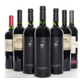 Argentina Red Wine Variety Lot (7)