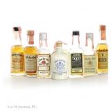 Vintage Whiskey & Bourbon Mini Bottles (7)