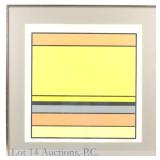John Delulio Framed Geometric Print