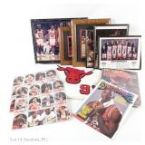 Bulls Jordan Rodman Jersey Cards Photos & More