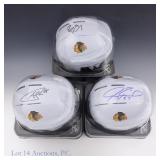 Blackhawks Sgd Helmets Shaw Roenick Panik (3)