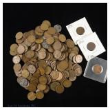 US Indian Head & Lincoln Wheat Cents (Est. 228)
