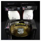 Packers Signed NFL Footballs Wolf, Hornung (3)