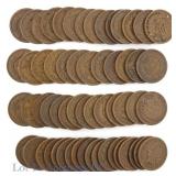1890 - 1908 US Indian Head Cents (G-VF), 58