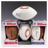 Bears Signed Footballs Briggs Howard & More (4)