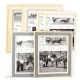 1960s Horse Racing Photos Arlington, Tropical...6