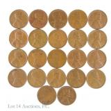 US Indian Head & Lincoln Wheat Cents (22)