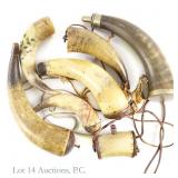 7 Animal Horn Gunpowder Horns