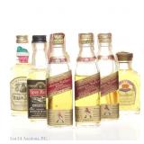 Scotch & Canadian Whisky Mini Bottles (4+2)