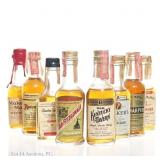 Various Vintage Whiskey Minis (8)