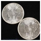1925 USA Silver Peace Dollars (Superior Luster), 2