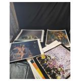 Art Print CollectionLarge assortment of