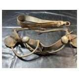 Leather horse blinds/tack with metal rings,