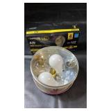 Collection of assorted light bulbs in various