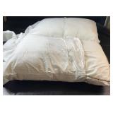 Two bed pillows, including a Cannon pillow and a