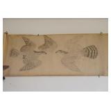 Japanese scroll of 13 Falcons - Raptors