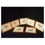 7 Antique Bird Lithographs by Morris - framed