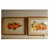 Two Vintage Sunkist Advertising lithograph