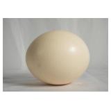 Ostrich egg